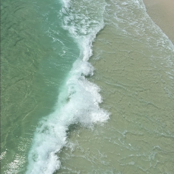 Meet your Posher, Shea - Picture 1 of 1